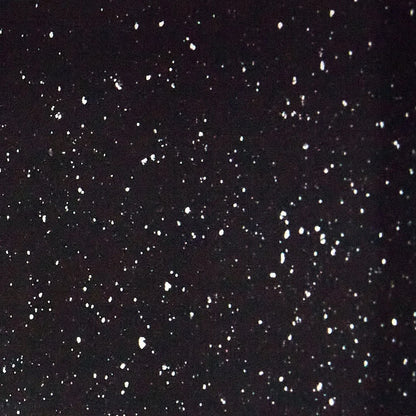 Nonstick Covered Oval Roaster 18 inch